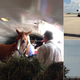 Illustration for article titled This Is How You Get A Kentucky Derby Champion To A Horse Race Far Away